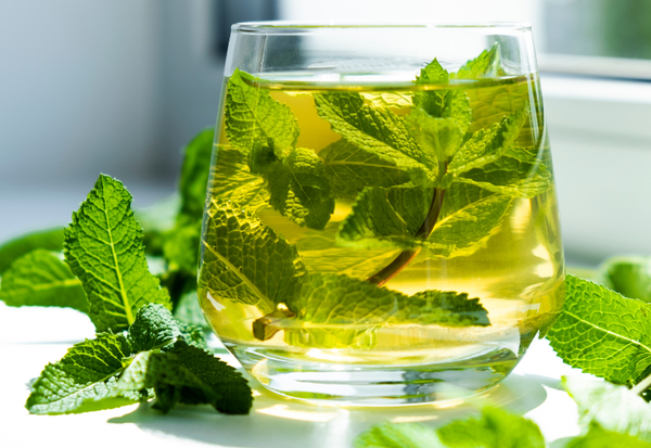 ミントティーの驚くべき効果：心身を癒す万能薬