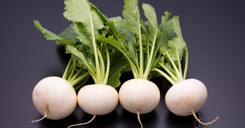 カブの魅力再発見！旬の食卓にうれしい万能野菜