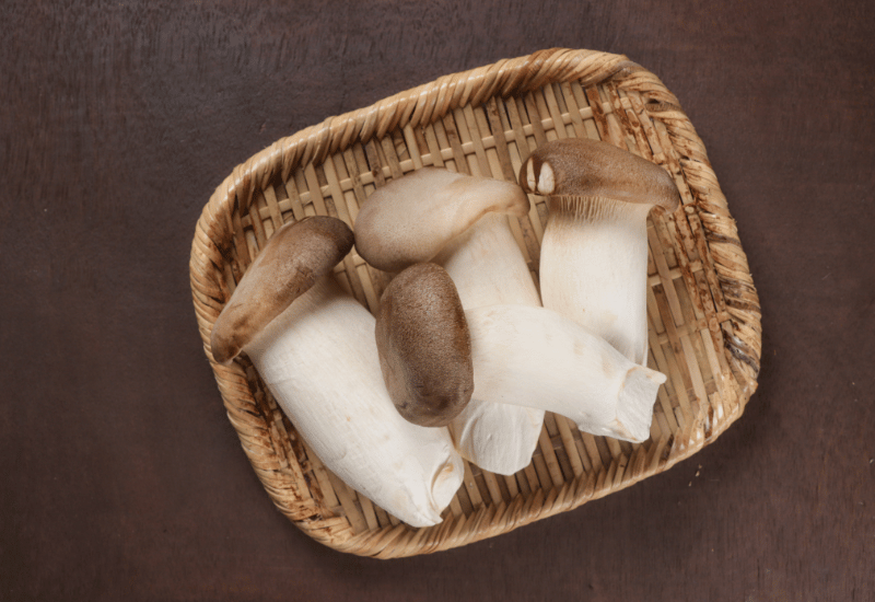 エリンギとは？食感、栄養、保存方法まで徹底解説