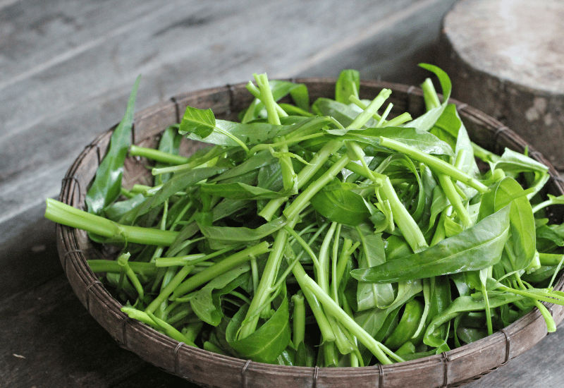 空芯菜を丸ごと楽しむ！徹底ガイド