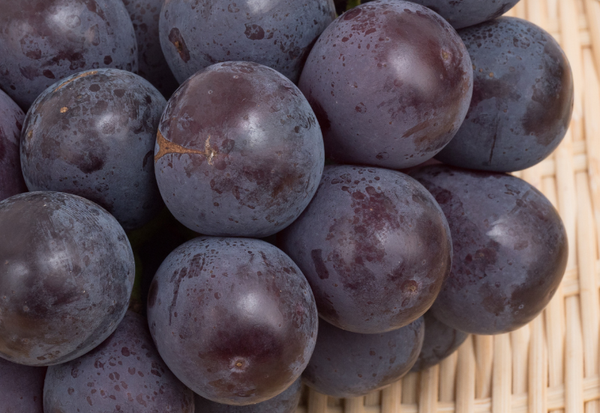 ピオーネを丸ごと味わう！皮の疑問からおすすめの食べ方まで徹底解説