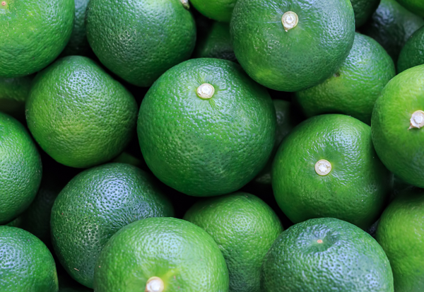 すだちの収穫時期はいつ？旬の時期から選び方、保存法、知られざる効能まで徹底解説