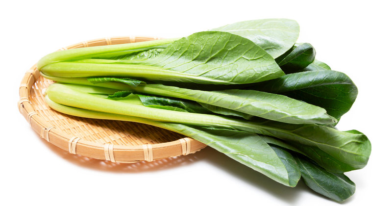 小松菜の保存方法｜冷蔵・冷凍で鮮度を長持ちさせる秘訣