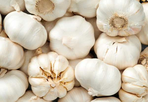 にんにく生産地を徹底解剖：国内編