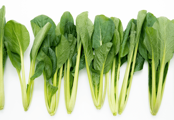 冬の小松菜栽培：甘みと栄養を最大限に引き出す家庭菜園ガイド