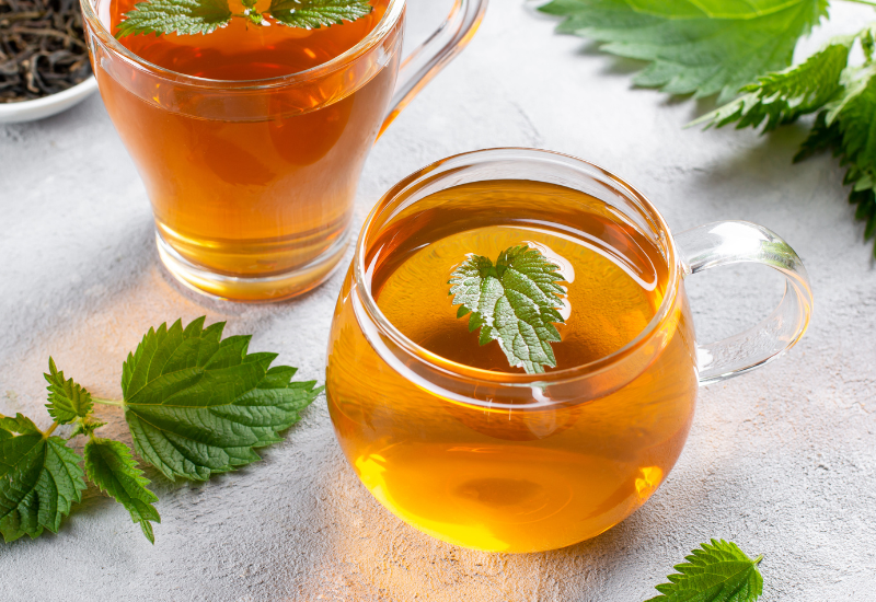 ネトル茶：驚くべき効能と活用法 - 天然のマルチビタミンで健康をサポート