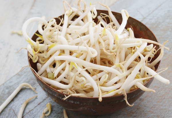 大豆もやしの栄養価を徹底解剖！緑豆もやしとの違いも解説