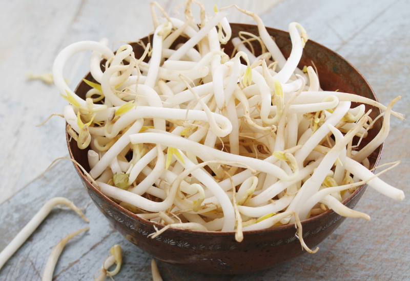 大豆もやしの栄養価を徹底解剖！緑豆もやしとの違いも解説