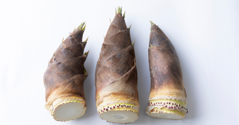 もう失敗しない！筍のアク抜き＆保存テクニック：簡単＆短時間でプロの味｜ぬかなし茹で方も紹介