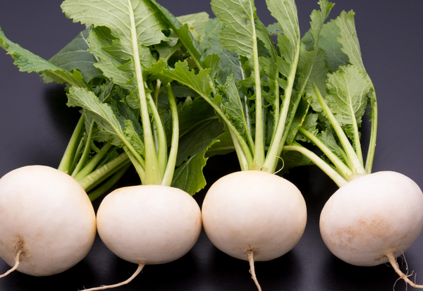 カブの旬は年に2回 多彩な品種と呼び名を持つ万能野菜