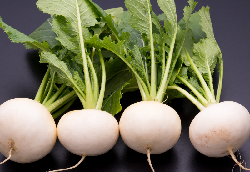 カブの旬は年に2回 多彩な品種と呼び名を持つ万能野菜
