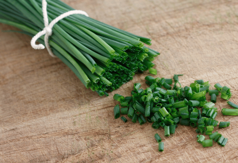 チャイブ：料理を彩る、繊細な香りの万能ハーブ