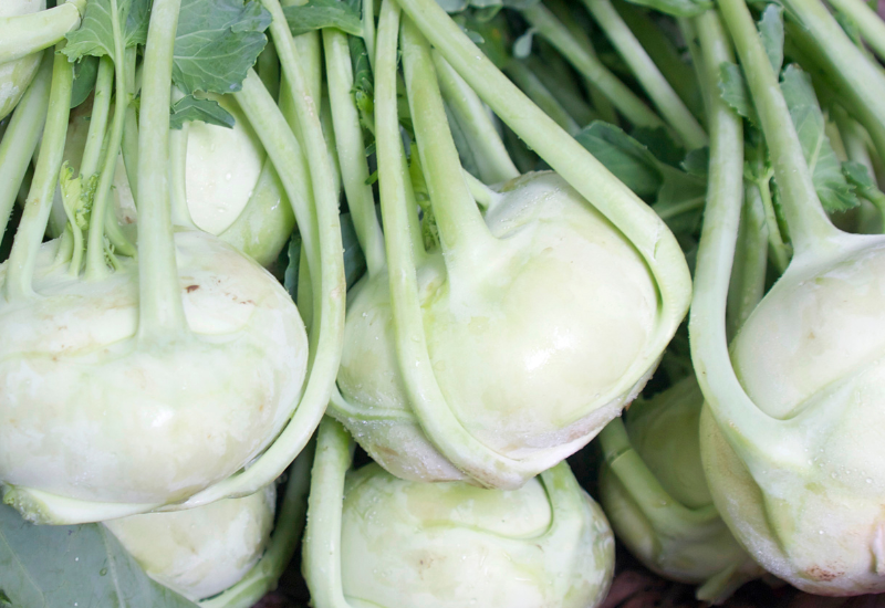 コールラビ栽培：ユニークな野菜を家庭菜園で楽しもう！