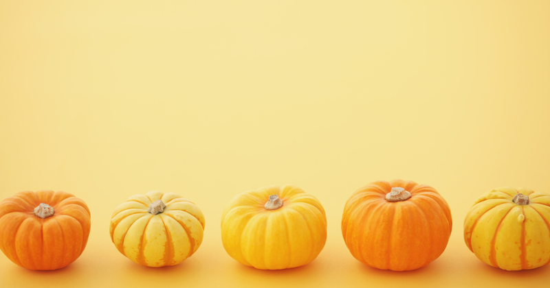 食卓を彩る[かぼちゃ黄色]：品種、食べ方、栄養を徹底解説