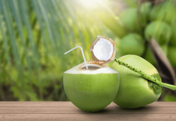 ココナッツ栄養 - スイーツモール