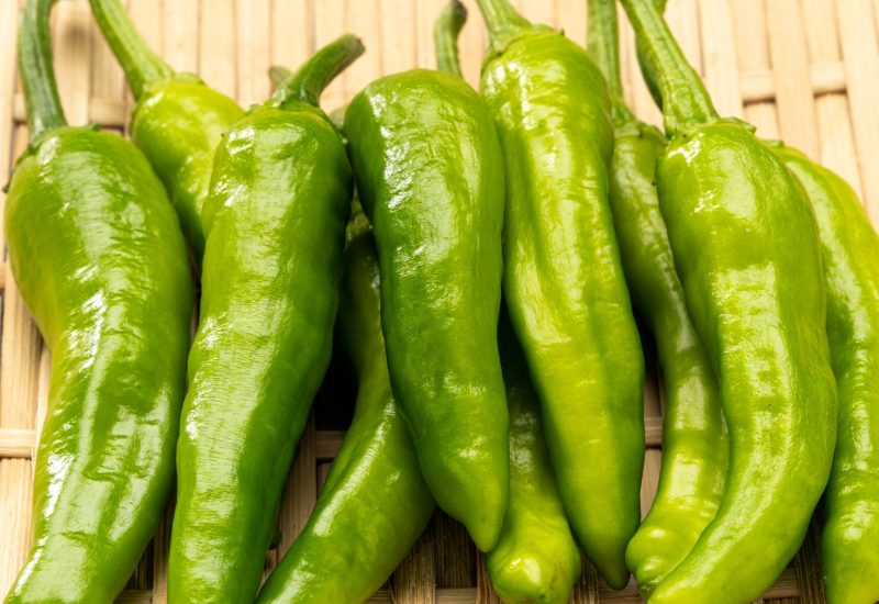 ししとうと唐辛子の違いとは？野菜ソムリエが教える見分け方・辛くなる原因・人気レシピ