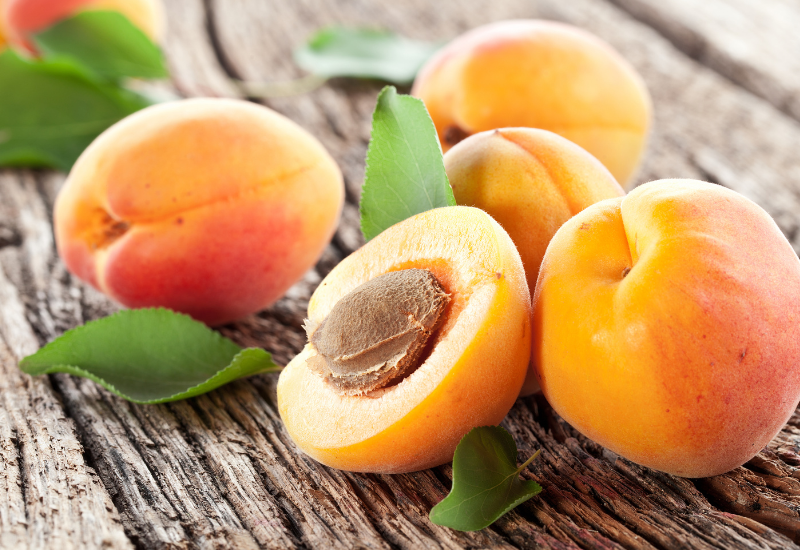 一本でも実る！庭先あんず栽培：品種選びから収穫まで完全ガイド