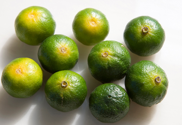 シークヮーサーとは？旬の時期・美味しい食べ方・保存方法など