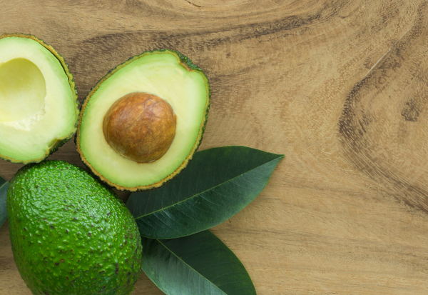 「アボカドを庭に植えてはいけない？」成長の盲点と上手な育て方