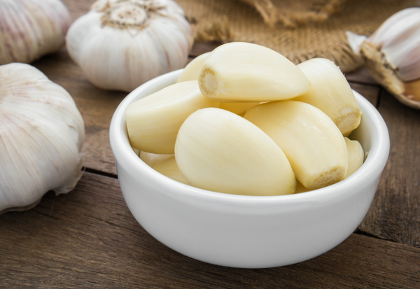 ～北海道の貴重な山菜、その魅力と活用法を徹底解説～