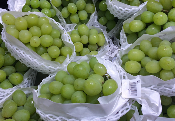 マスカットの種類：人気品種から希少品種まで徹底解説