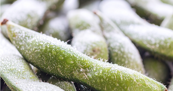 冷凍枝豆レシピ！おつまみからおかず、弁当まで！プロが教える冷凍枝豆の美味しい食べ方