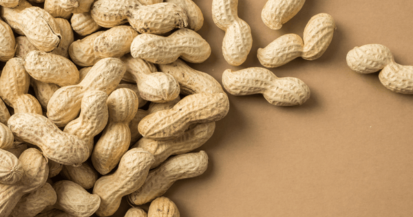 落花生の花：知られざる美しさと豊穣のサイン