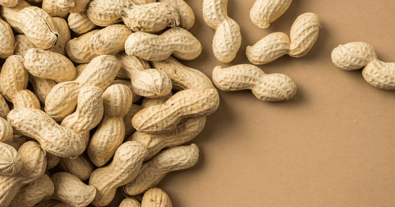 落花生の花：知られざる美しさと豊穣のサイン