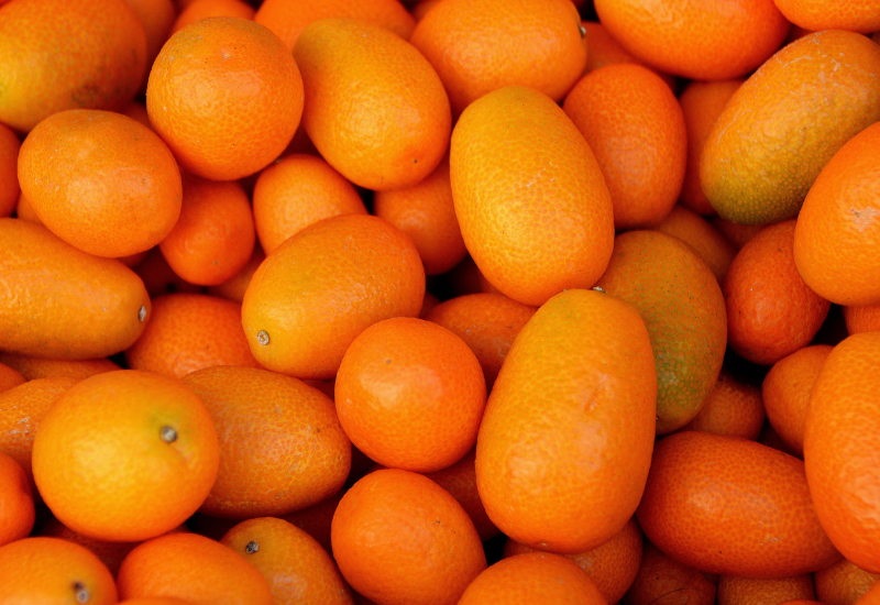 金柑を生で美味しく食べる!皮ごと?種は?栄養満点な食べ方と保存方法を徹底解説