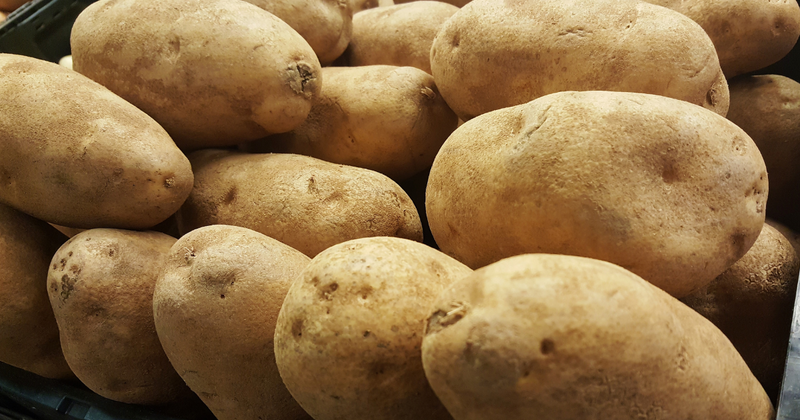 秋じゃがいも栽培：最適な植え付け時期と成功のコツ