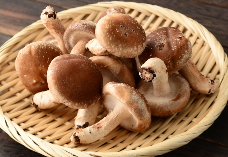 しいたけ効果：知られざる栄養パワーと食生活への取り入れ方