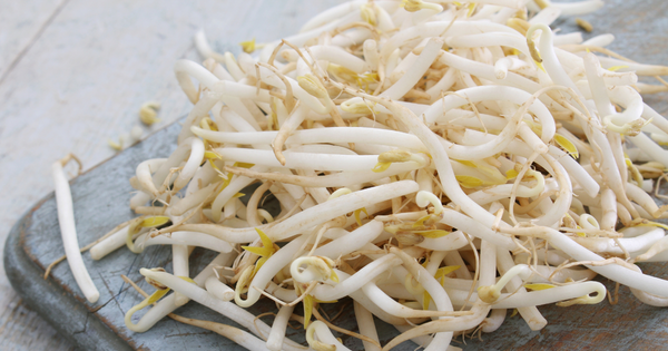 もやし冷凍できる