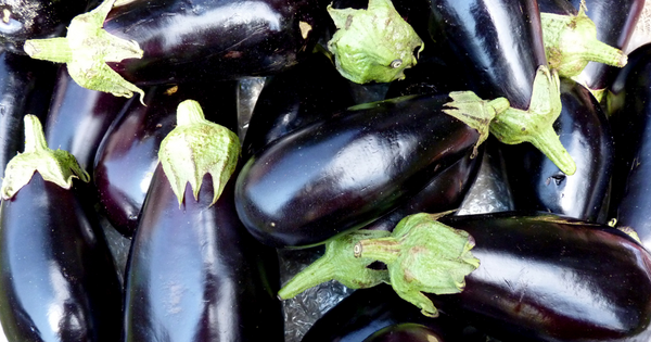 なす 冷凍 そのまま