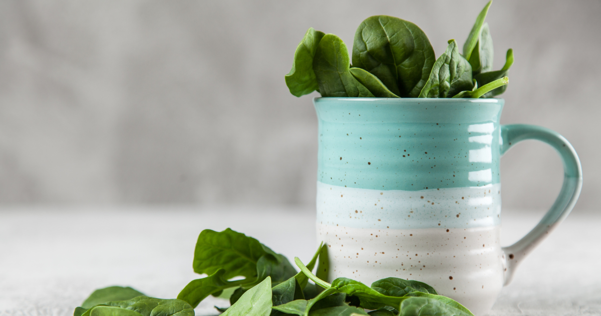 ベビーリーフ種