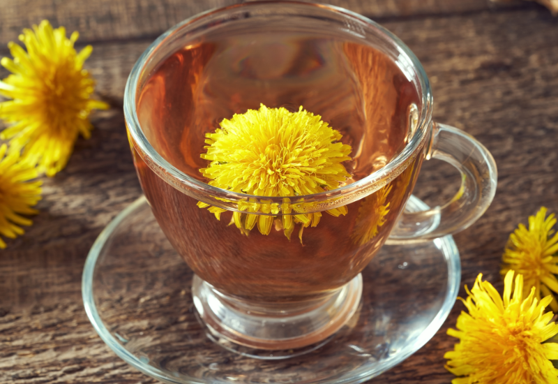 たんぽぽ茶の驚くべき効能：妊活、母乳ケアからデトックスまで徹底解説