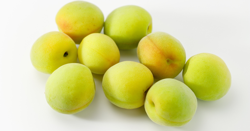 梅の旬、栄養、品種を徹底解説！美味しい梅の見分け方と活用術