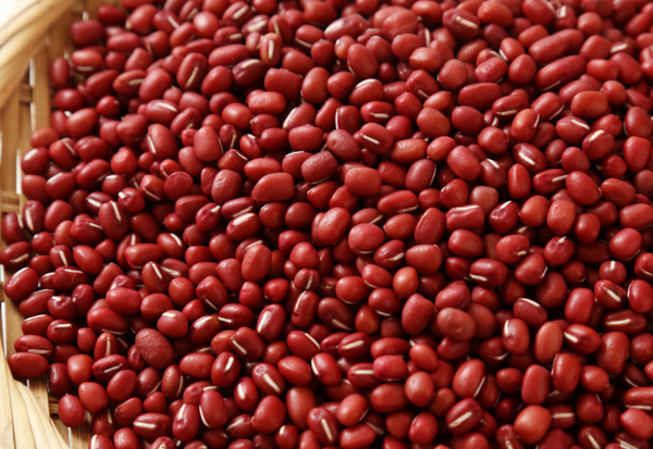 ささげとは？小豆との違いから赤飯レシピ、アレンジ料理まで徹底解説