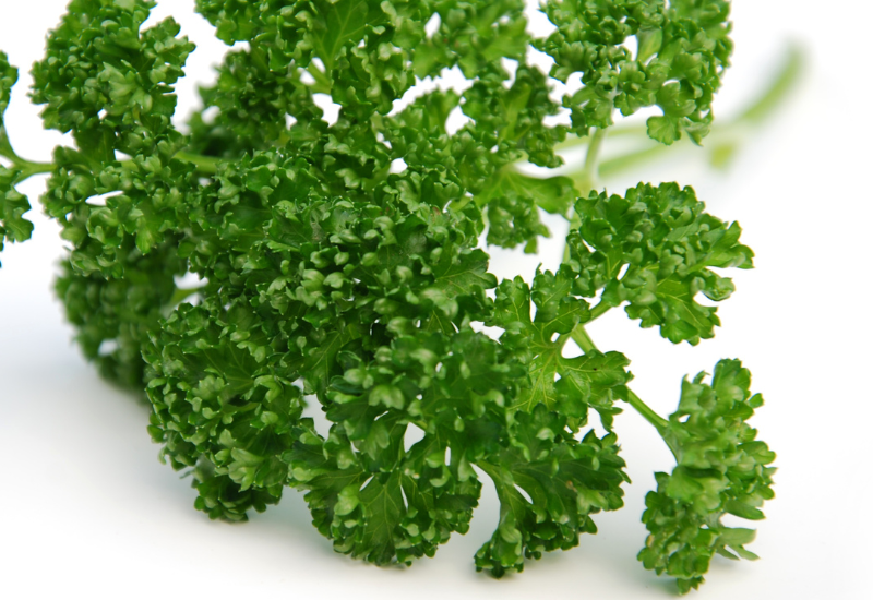 イタリアンパセリを冷凍保存！風味を保ち、栄養を逃さない賢い方法と活用レシピ