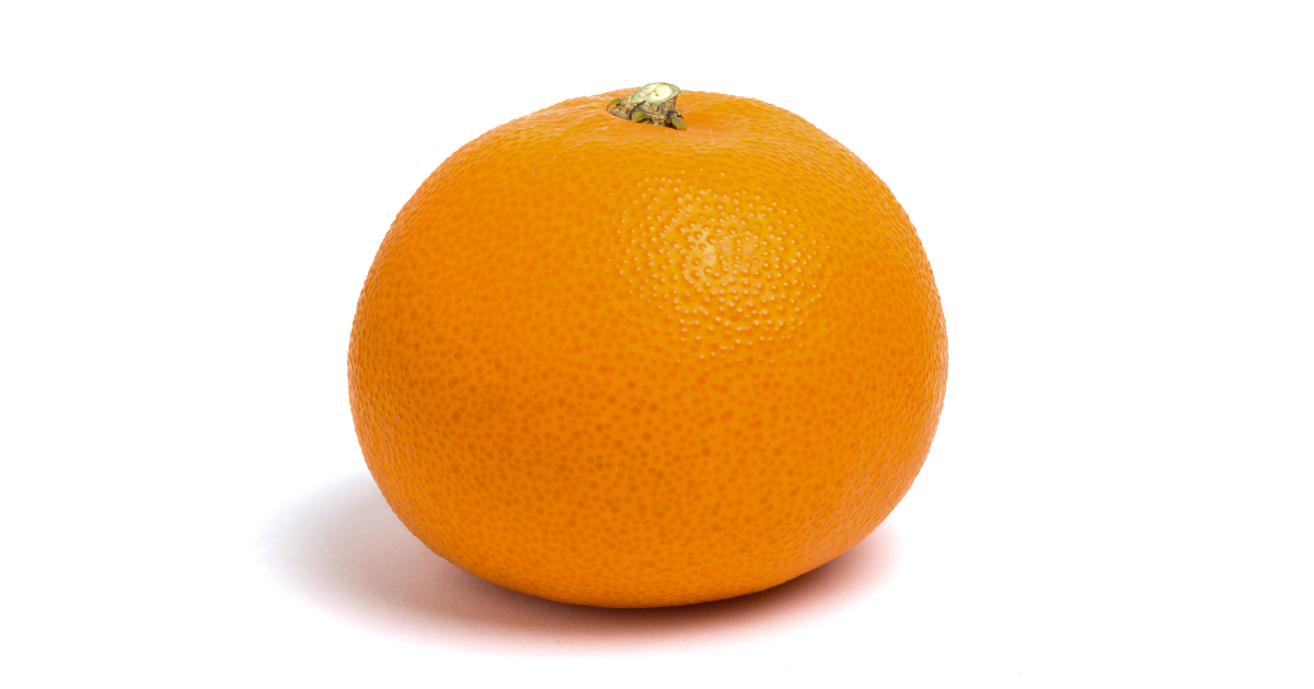 せとかみかん産地別徹底比較！極上の味を生む秘密を解き明かす