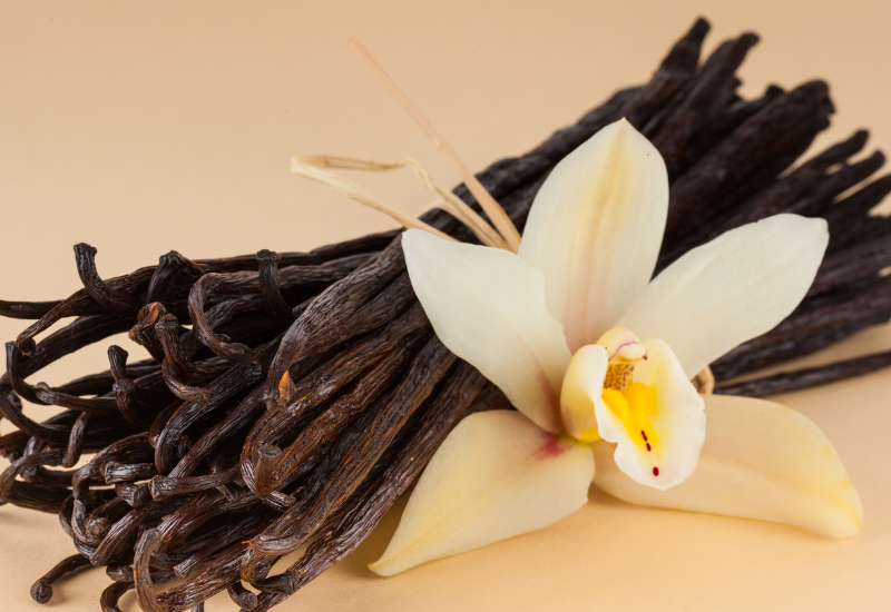 バニラの神秘：甘美な香りのルーツを辿る