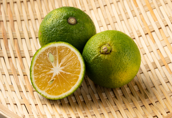 カボス栽培の成功ガイド：初心者でも育てやすい基本とコツ