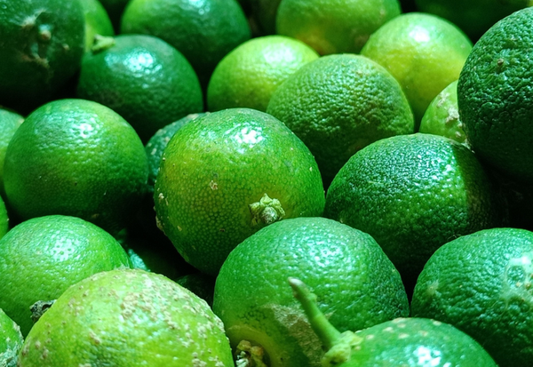 かぼすとは？美味しい見分け方から栄養まで