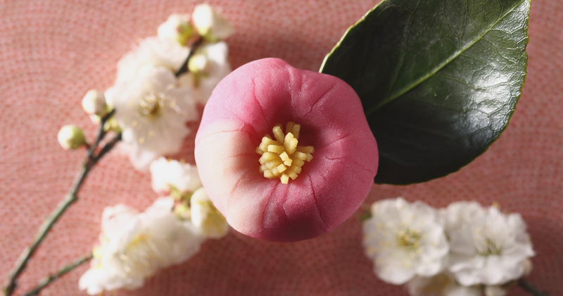 椿をモチーフにした和菓子の魅力とは？季節を彩る美と味の芸術を堪能しよう