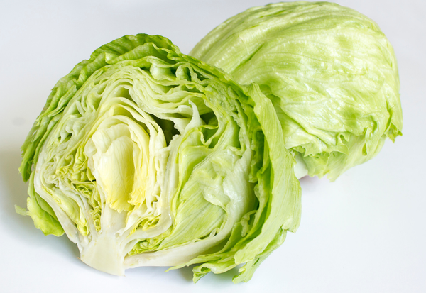 【レタス栽培】種まきや植え付けの適期は？品質向上のための栽培技術