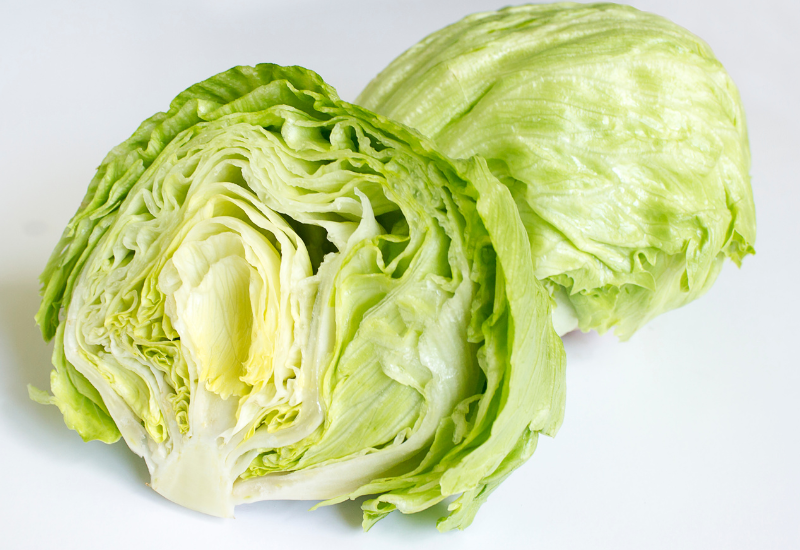 【レタス栽培】種まきや植え付けの適期は？品質向上のための栽培技術