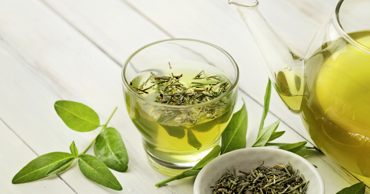 知っておきたいお茶の種類と特徴：あなたにぴったりの一杯を見つけよう