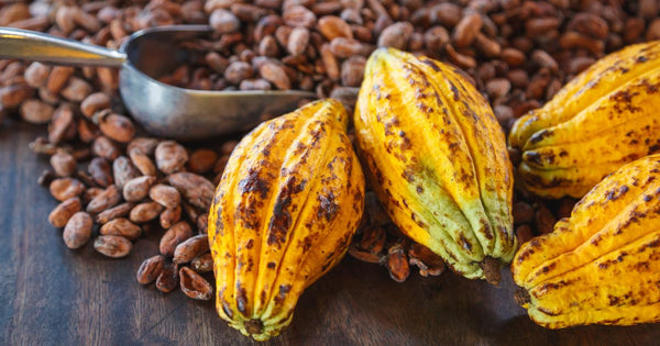カカオに秘められた漢字の歴史：チョコレートの意外なルーツを探る