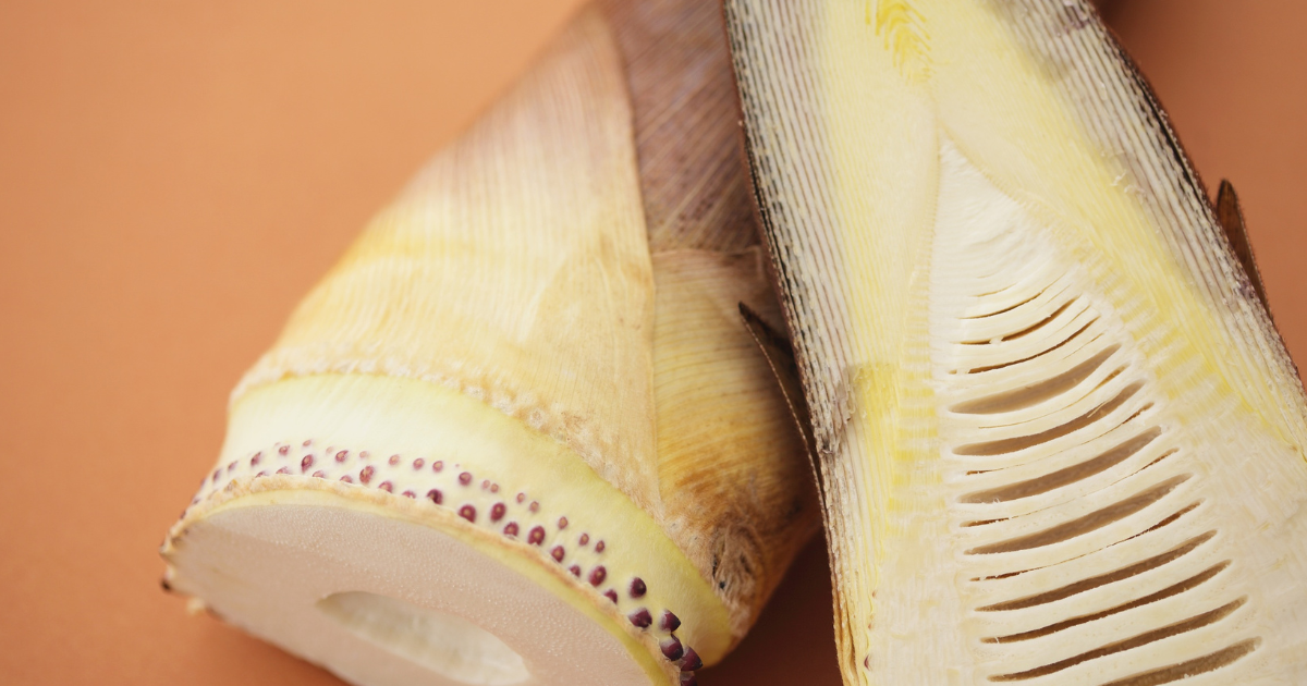 たけのこ、どこまで食べられる？可食部徹底ガイド