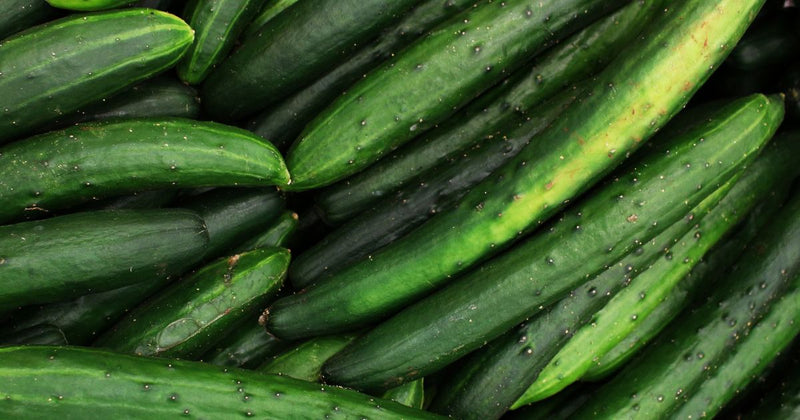 ウリ科野菜の栄養価：健康を支える多様な恵み
