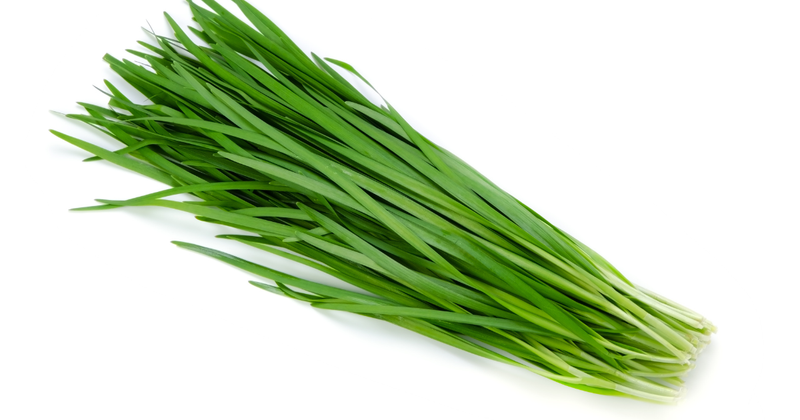 ニラの根元、捨てないで！栄養満点活用術